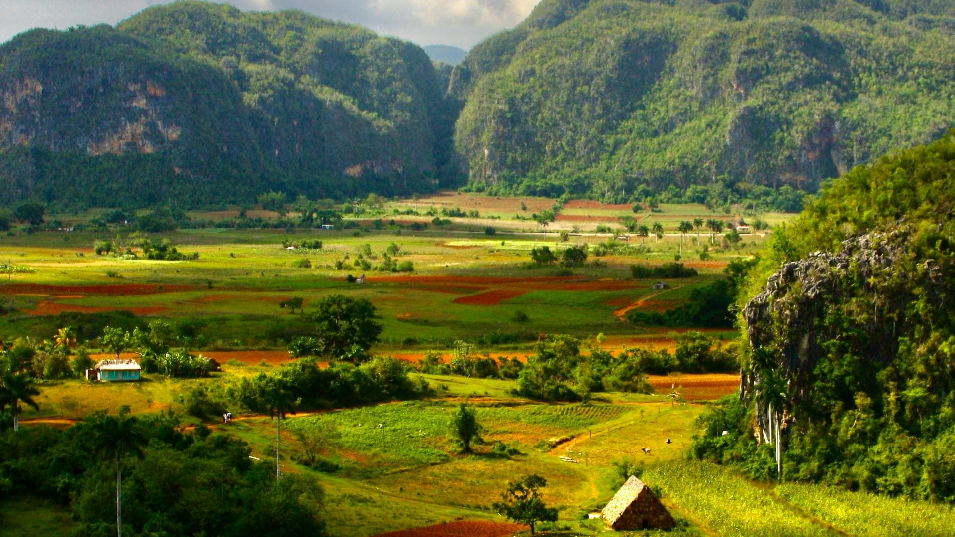 Vinales Valley with limestone mogotes and tobacco fields in Pinar del Rio, Cuba