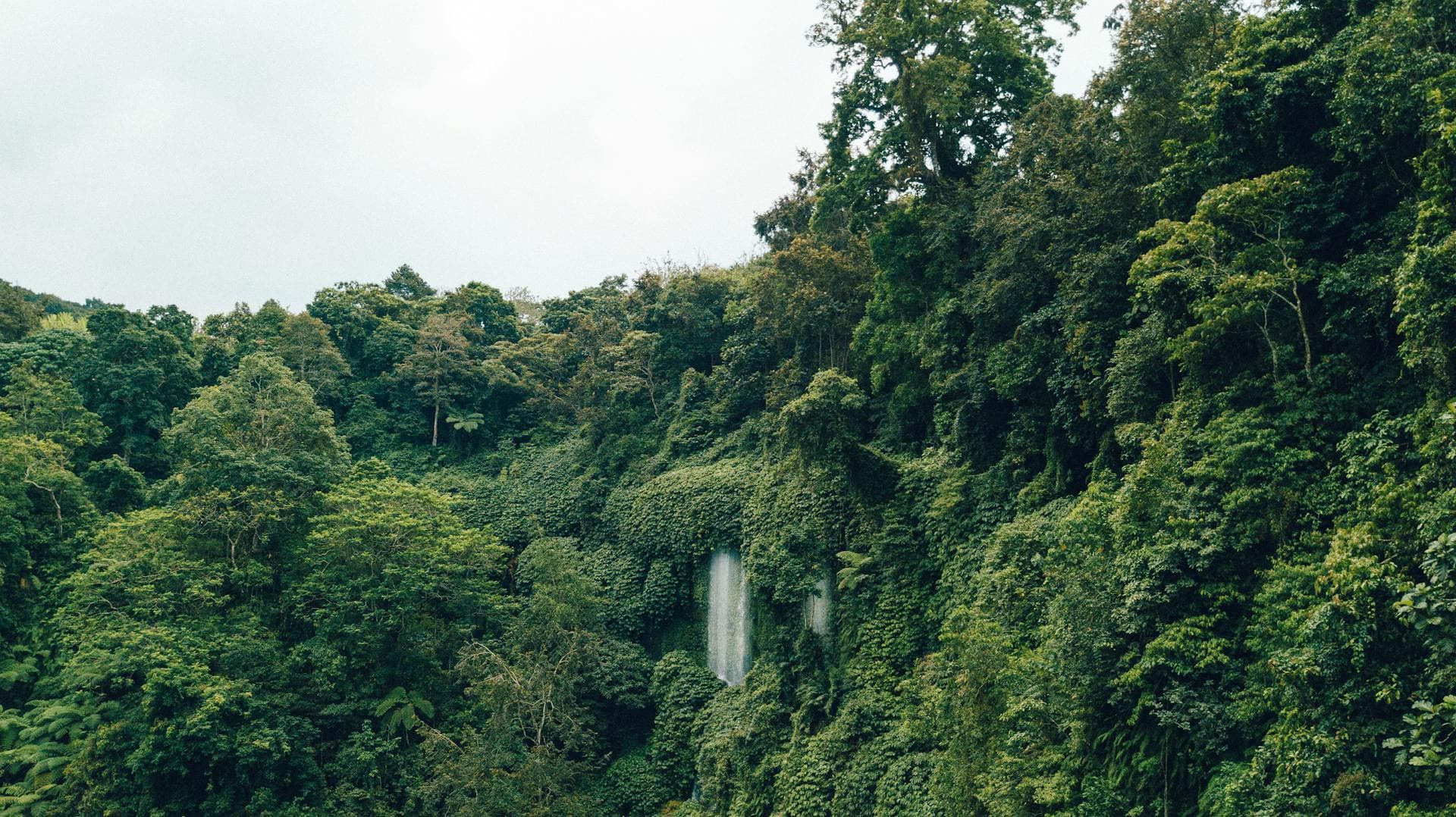 Tropical waterfall cascading through lush Dominican Republic rainforest