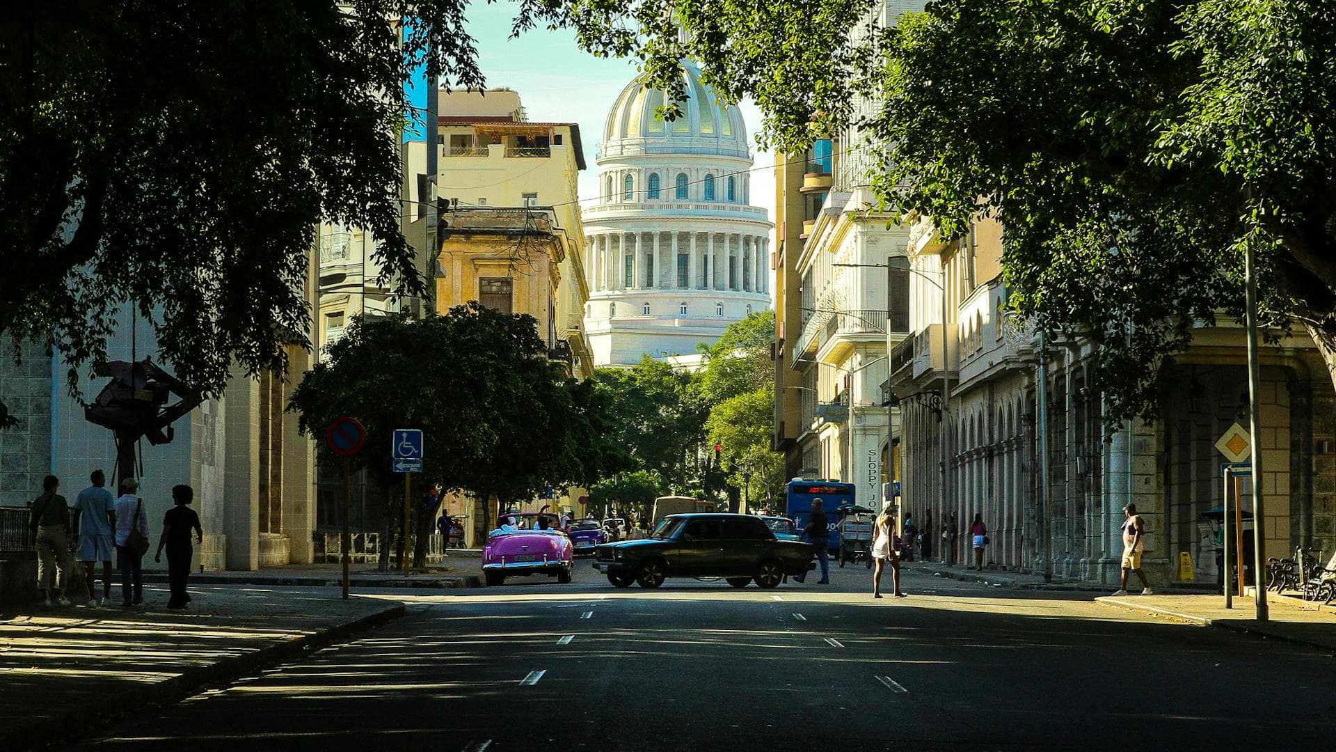 Tree-lined avenue in Havana with the National Capitol dome framed by classic colonial architecture and vintage cars