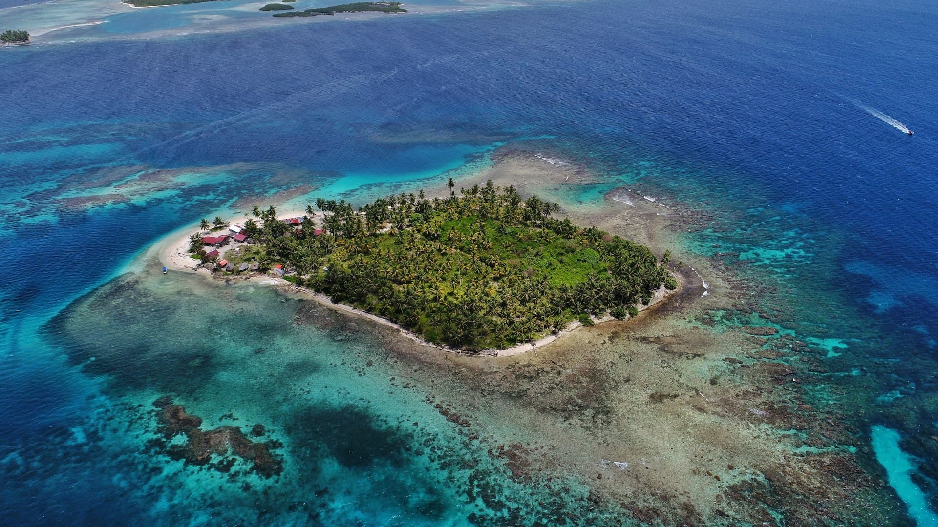 Aerial view of a palm-covered San Blas island surrounded by turquoise Caribbean waters, Panama