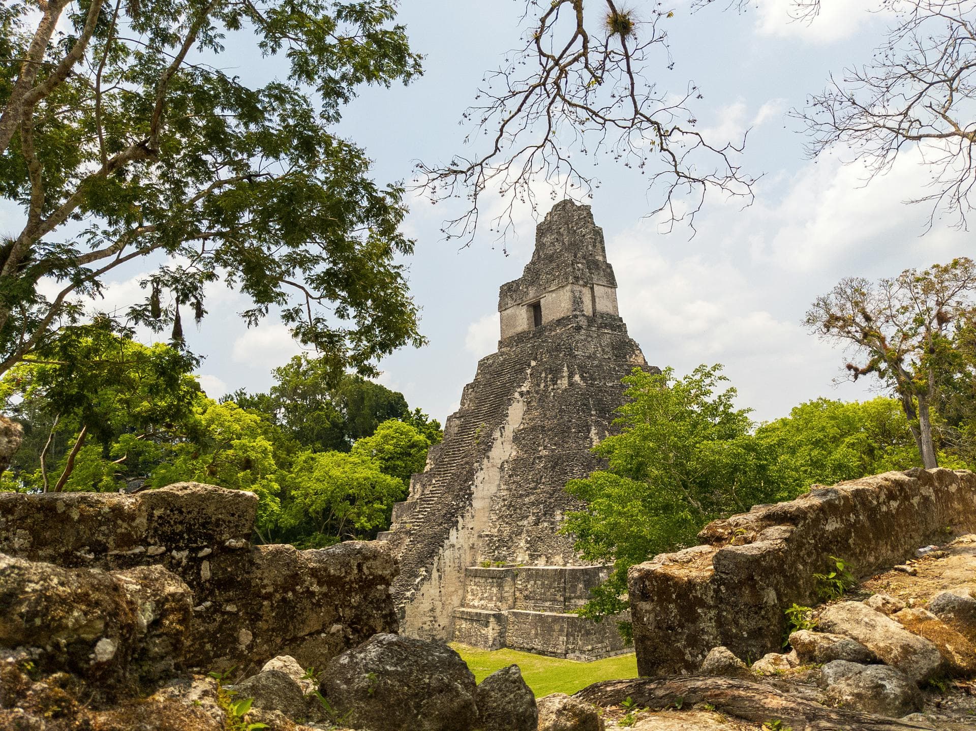 Temple I Great Jaguar rising above the rainforest canopy at Tikal, Guatemala