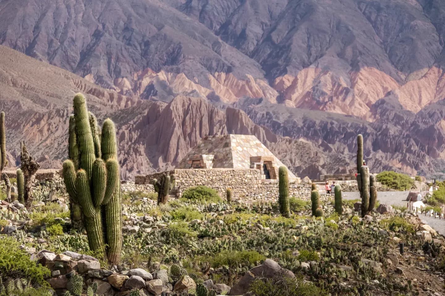 The stone monument on the Pucará of Tilcara among tall cacti, Jujuy, Argentina