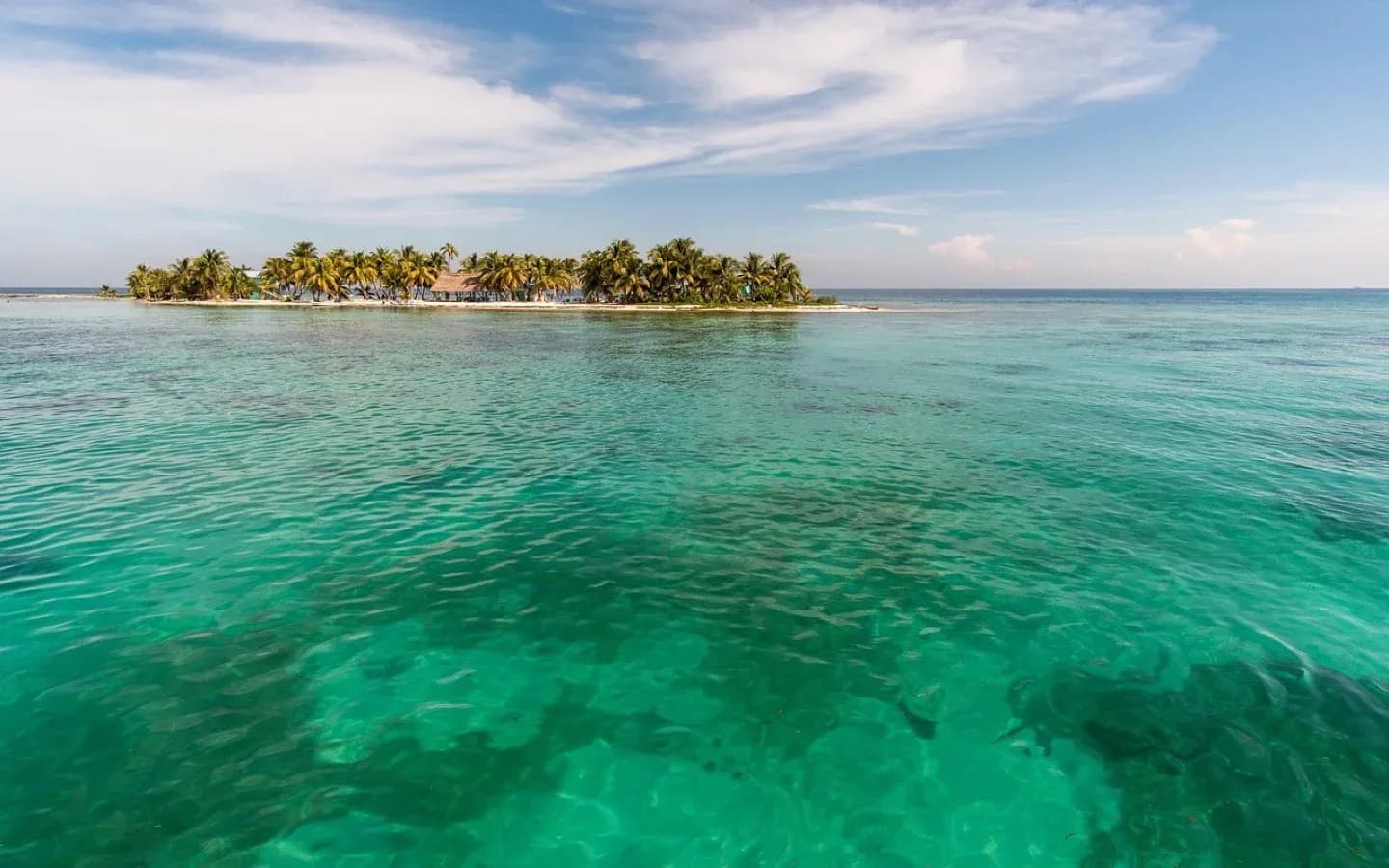 A small, palm-tree-covered island with thatched-roof huts sits in the distance, surrounded by clear, turquoise water.