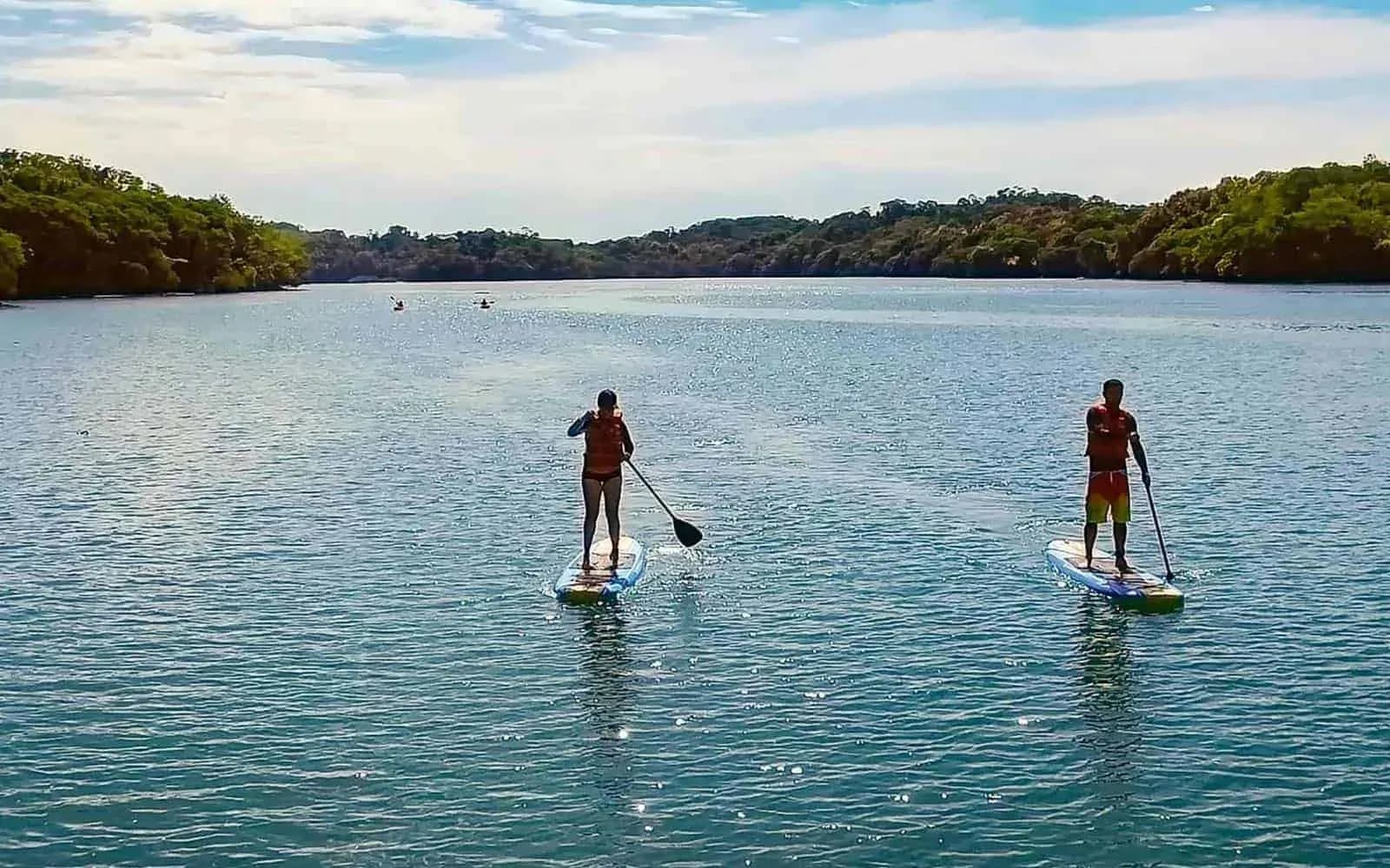 Stand-up paddleboarding on a calm estuary near Nosara, Costa Rica