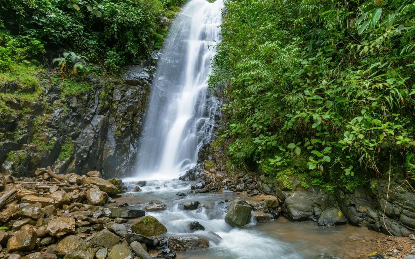 A jungle waterfall cascading into a forest pool in Costa Rica