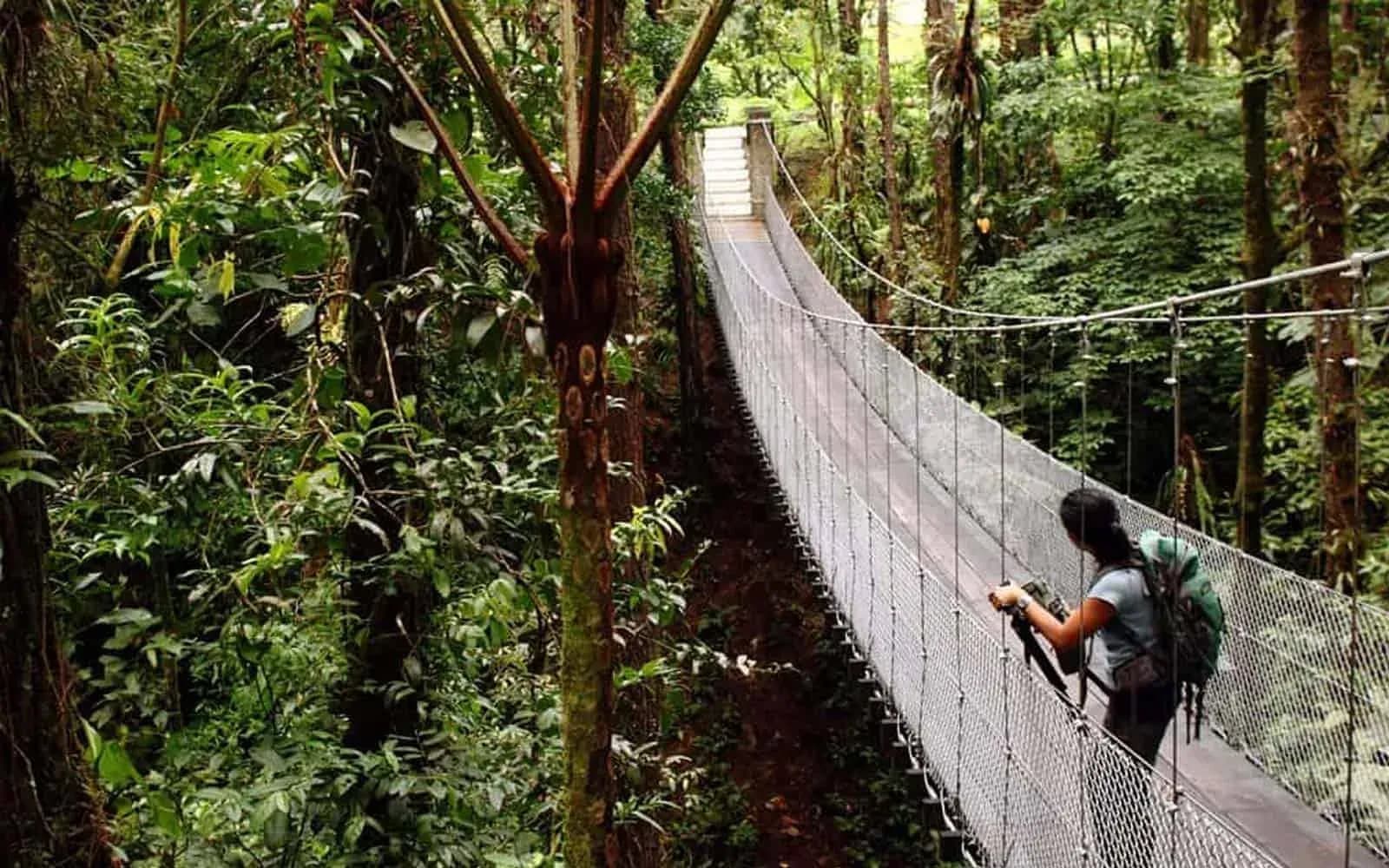 Hiker crossing a hanging bridge through the rainforest canopy near Arenal, Costa Rica