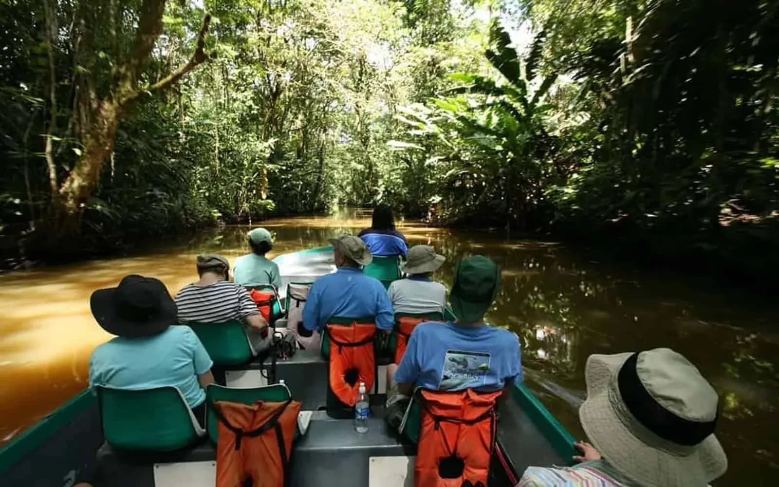Guided boat safari along the rainforest canals of Tortuguero National Park, Costa Rica