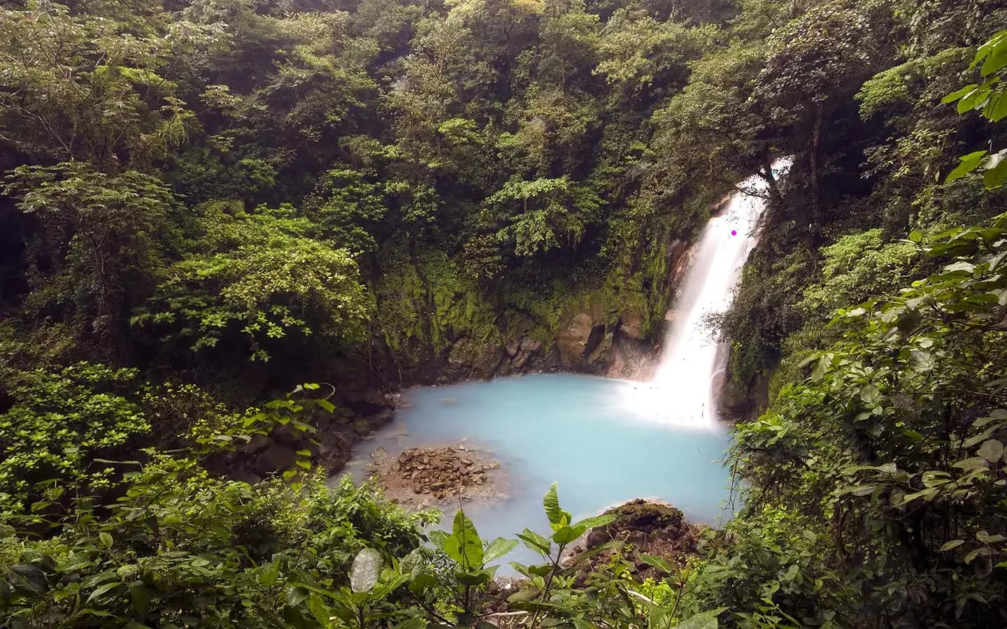The turquoise pool below the Río Celeste waterfall, surrounded by rainforest in Tenorio Volcano National Park, Costa Rica