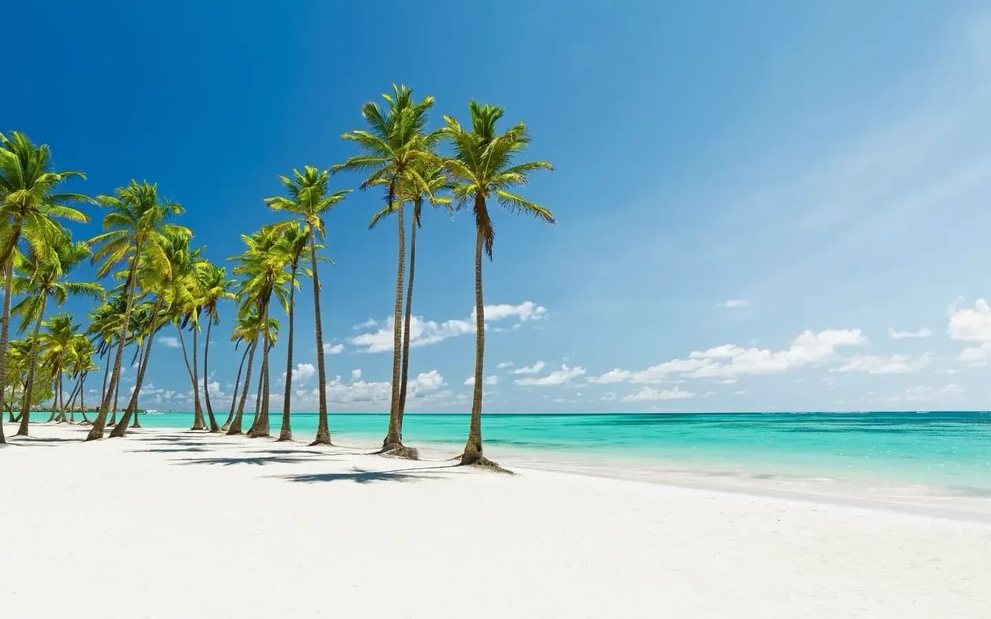 A pristine white sand beach lined with tall palm trees meets the turquoise waters of the ocean under a clear blue sky with scattered clouds.
