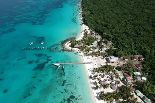 Aerial view of a tropical island with white sand beach, palm trees and turquoise waters in the Dominican Republic