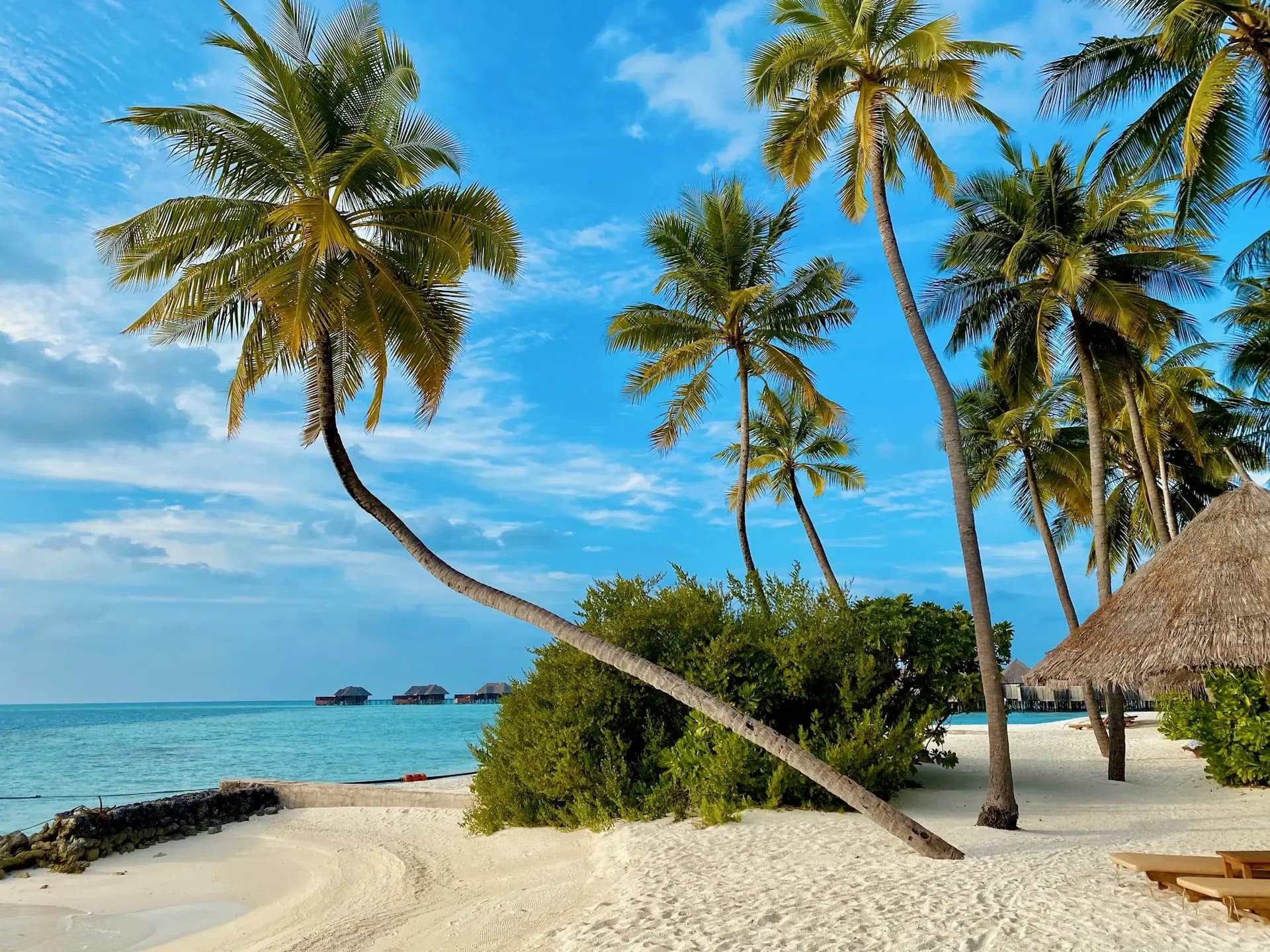 Couple walking on a pristine Dominican Republic beach at sunset