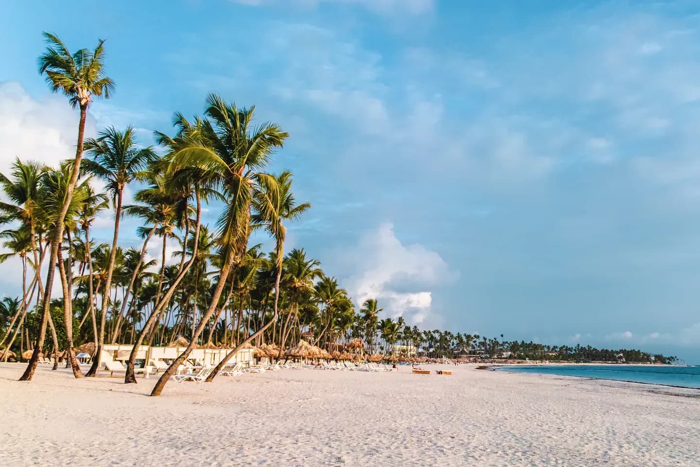 Palm trees along the white sand beach at Bavaro, Punta Cana, Dominican Republic