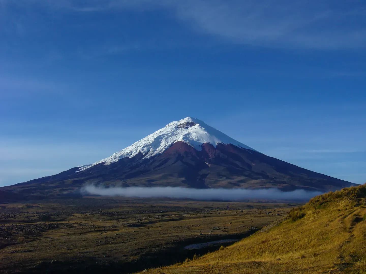 The glacier-capped cone of Cotopaxi volcano above a band of cloud, Ecuador