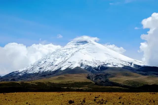 The snow-capped cone of Cotopaxi volcano rising above the golden high plain of the Ecuadorian Andes