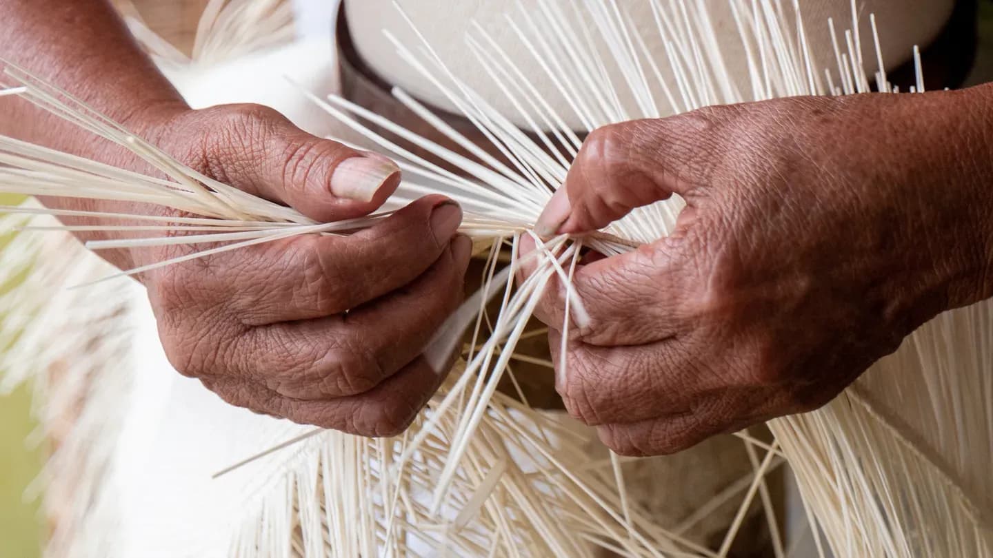 Hands weaving toquilla straw into a Panama hat, Ecuador