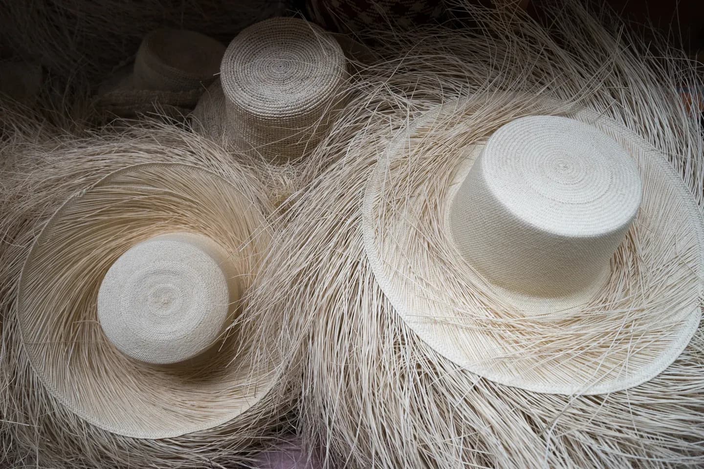 Unfinished Panama hats with their straw still loose at the brim, Ecuador
