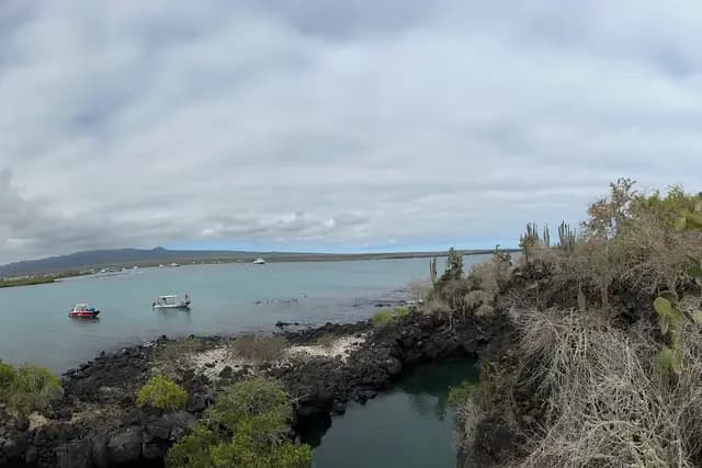 Boats at anchor in a sheltered bay behind a lava shore and cactus on Santa Cruz island, Galápagos
