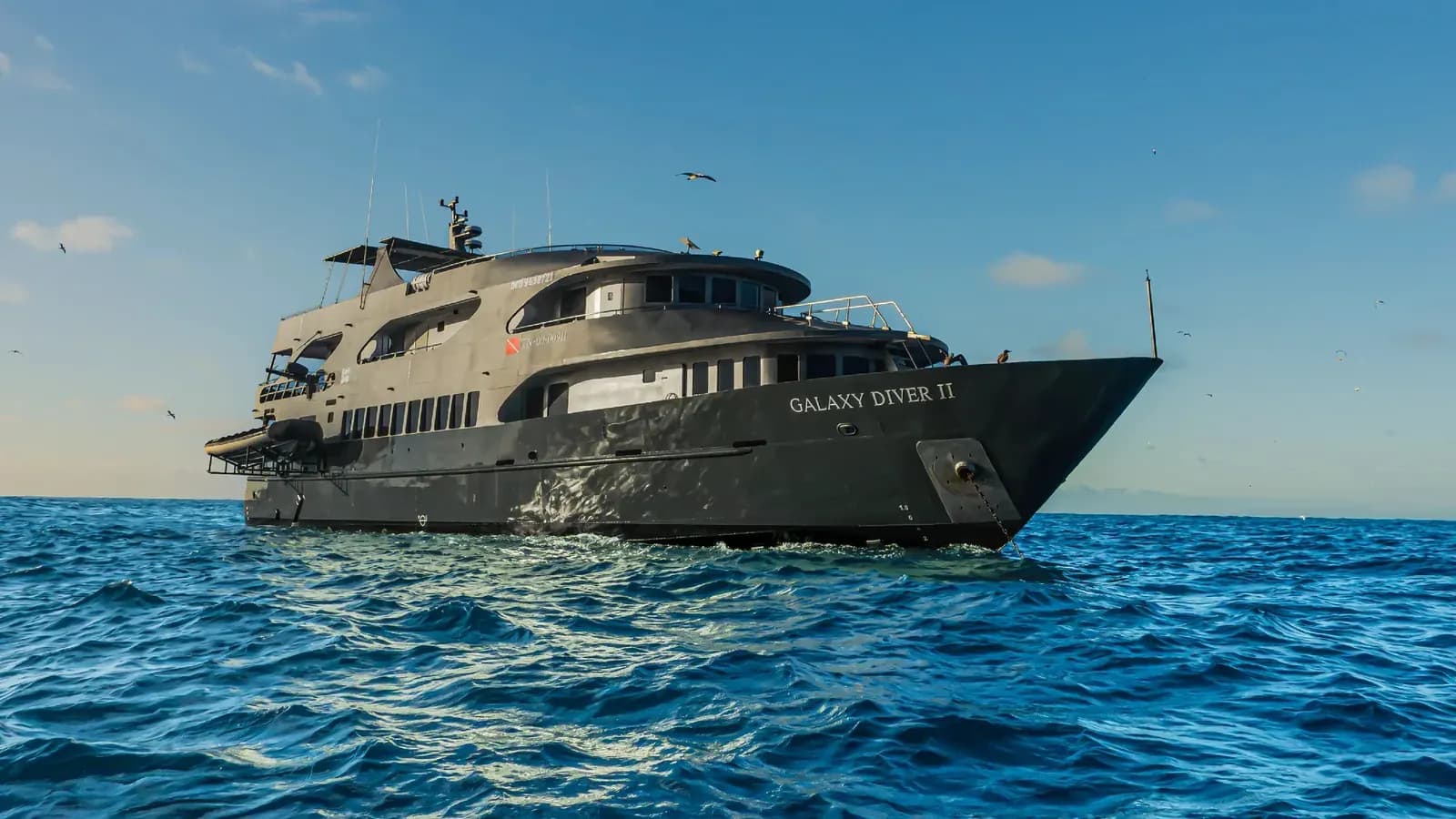 Galaxy Diver II bow view in daylight with seabirds overhead, Galápagos
