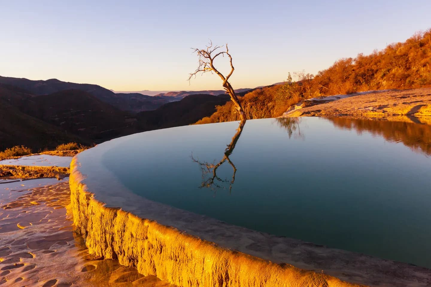 A bare tree reflected in a mineral pool on the cliff edge at Hierve el Agua, Oaxaca, Mexico