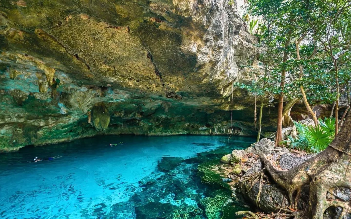 A crystal-clear turquoise cenote with two snorkelers, surrounded by a rocky cave and lush green foliage.