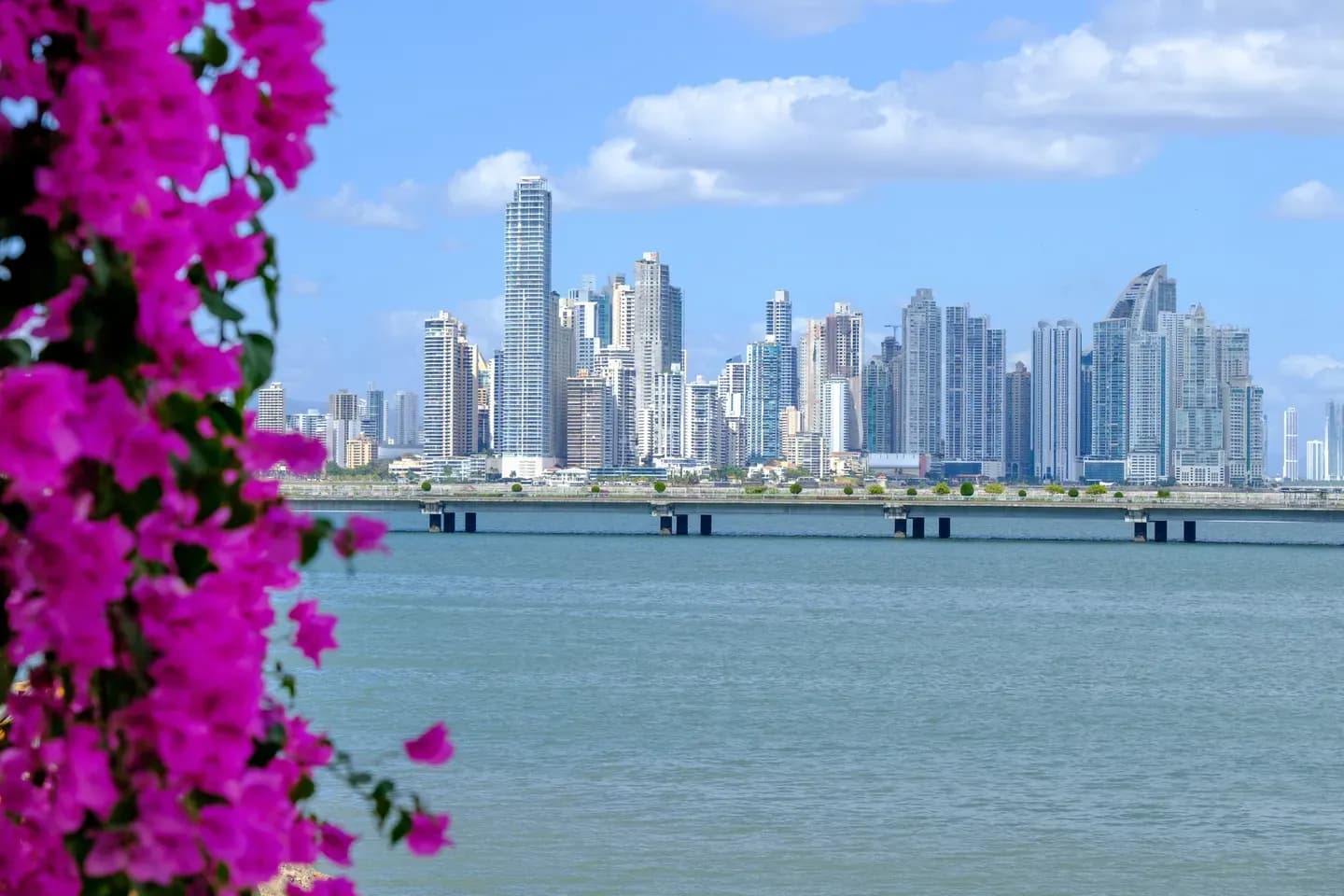 The Panama City skyline across the bay, seen from Casco Viejo through pink bougainvillea