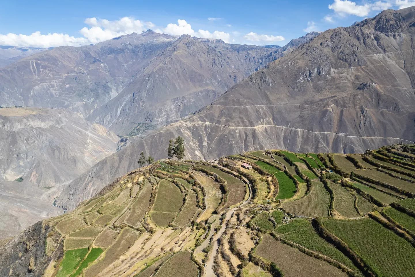 Pre-Inca farming terraces with the Colca canyon behind, Peru