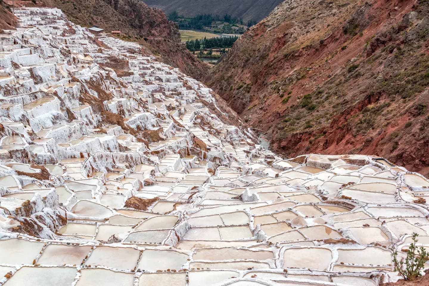 Hundreds of white salt pools stepping down a valley at Maras, in the Sacred Valley near Cusco, Peru