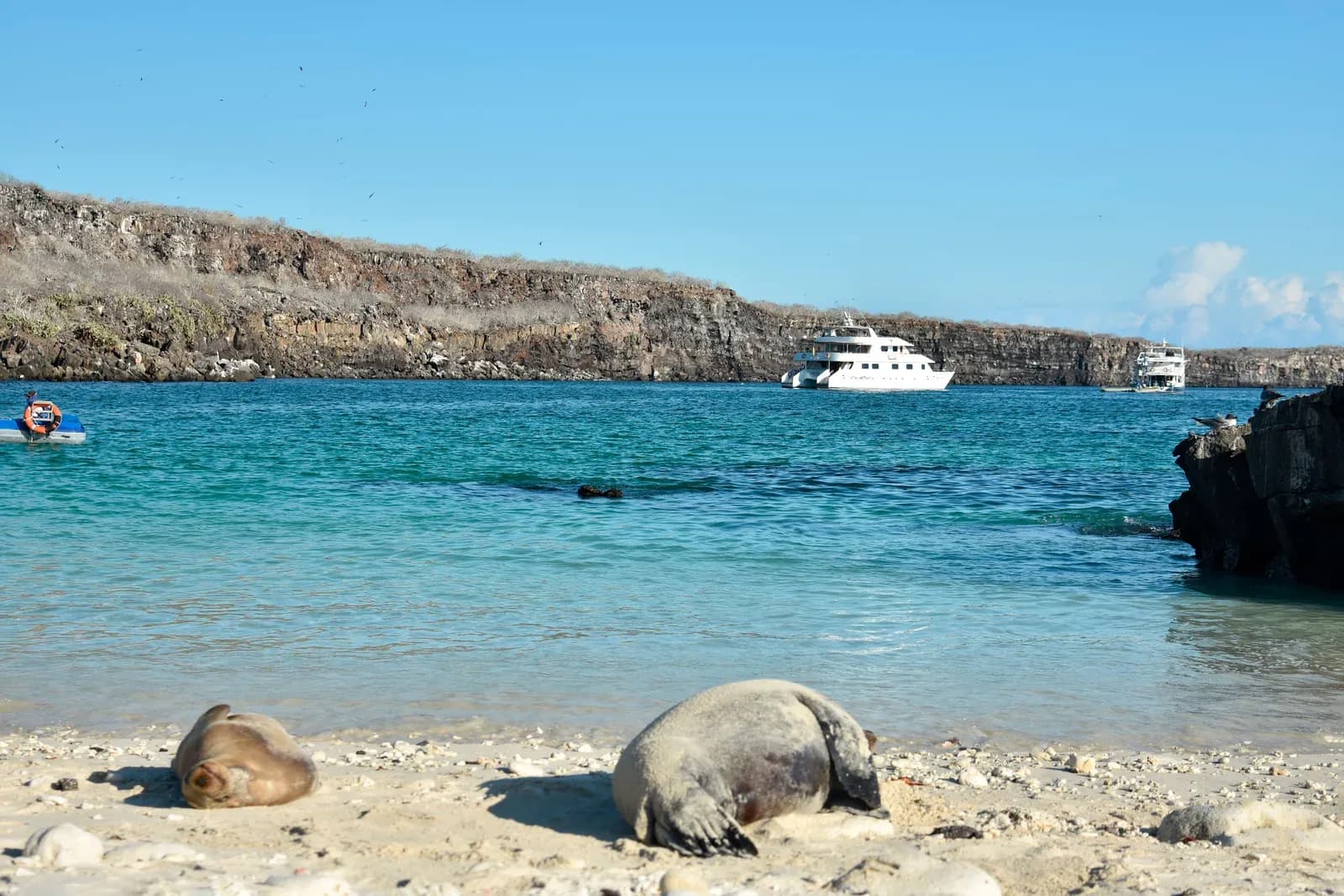 Sea lions resting on the beach with Seaman Journey anchored offshore, Galápagos