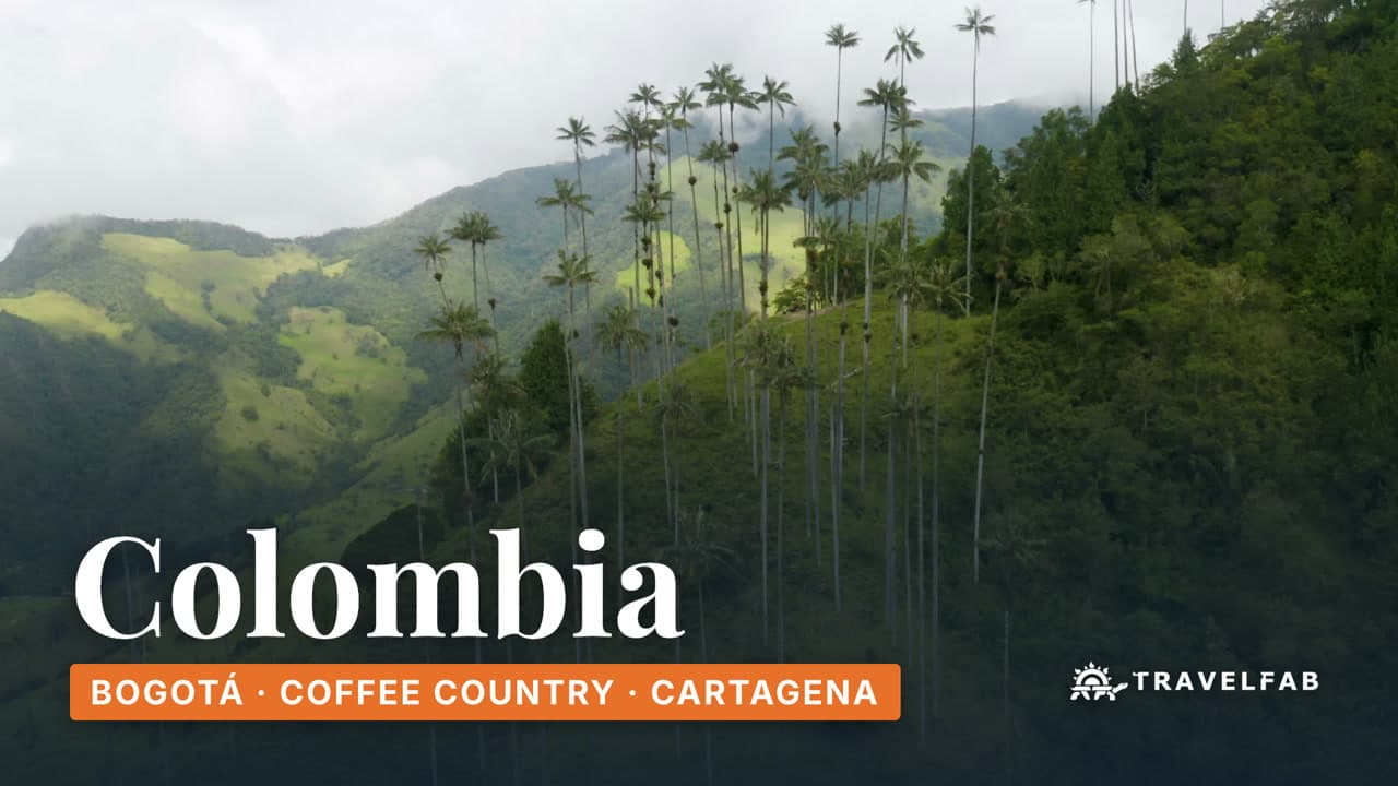 Wax palms rising above the green hills of the Cocora Valley in Colombia