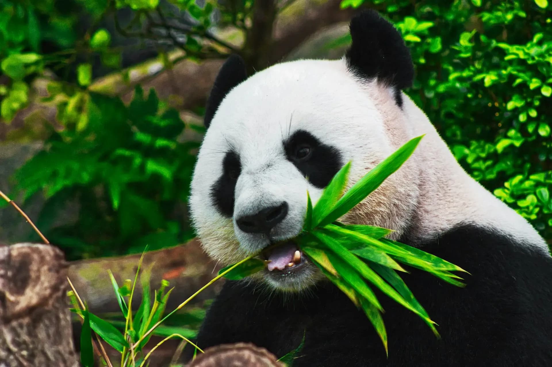 Wildlife & Nature holiday type