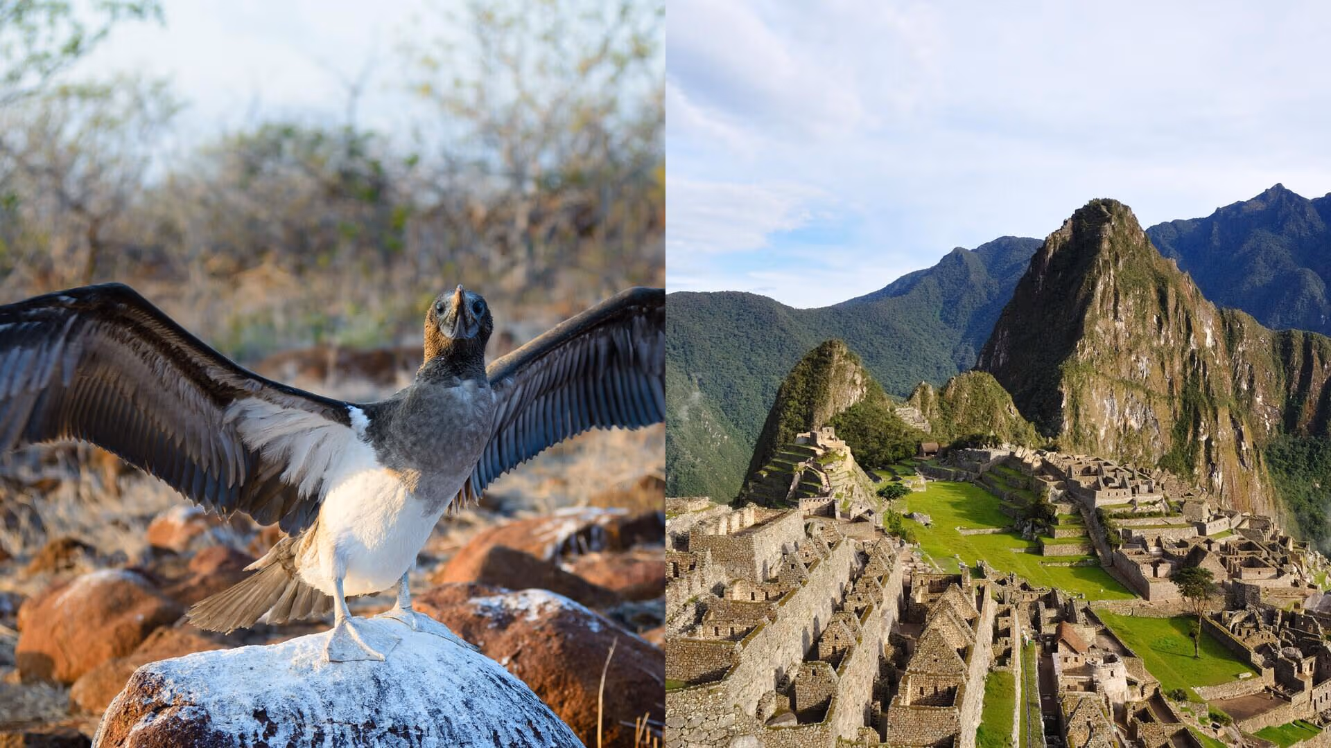 Machu Picchu at sunrise, Peru — a classic Latin America journey