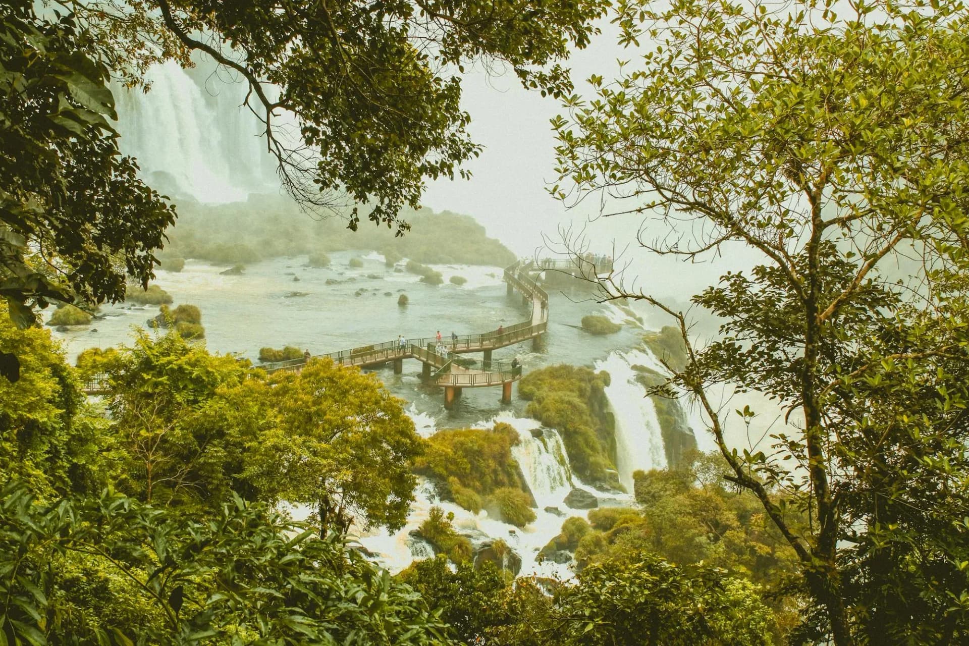 Visitor walkways winding between the cascades of Iguazú Falls on the Argentine side, framed by rainforest