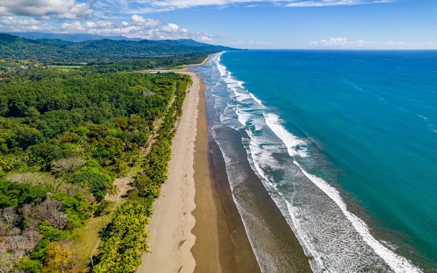 Drone aerial view of the palm-lined Puntarenas coastline in Costa Rica