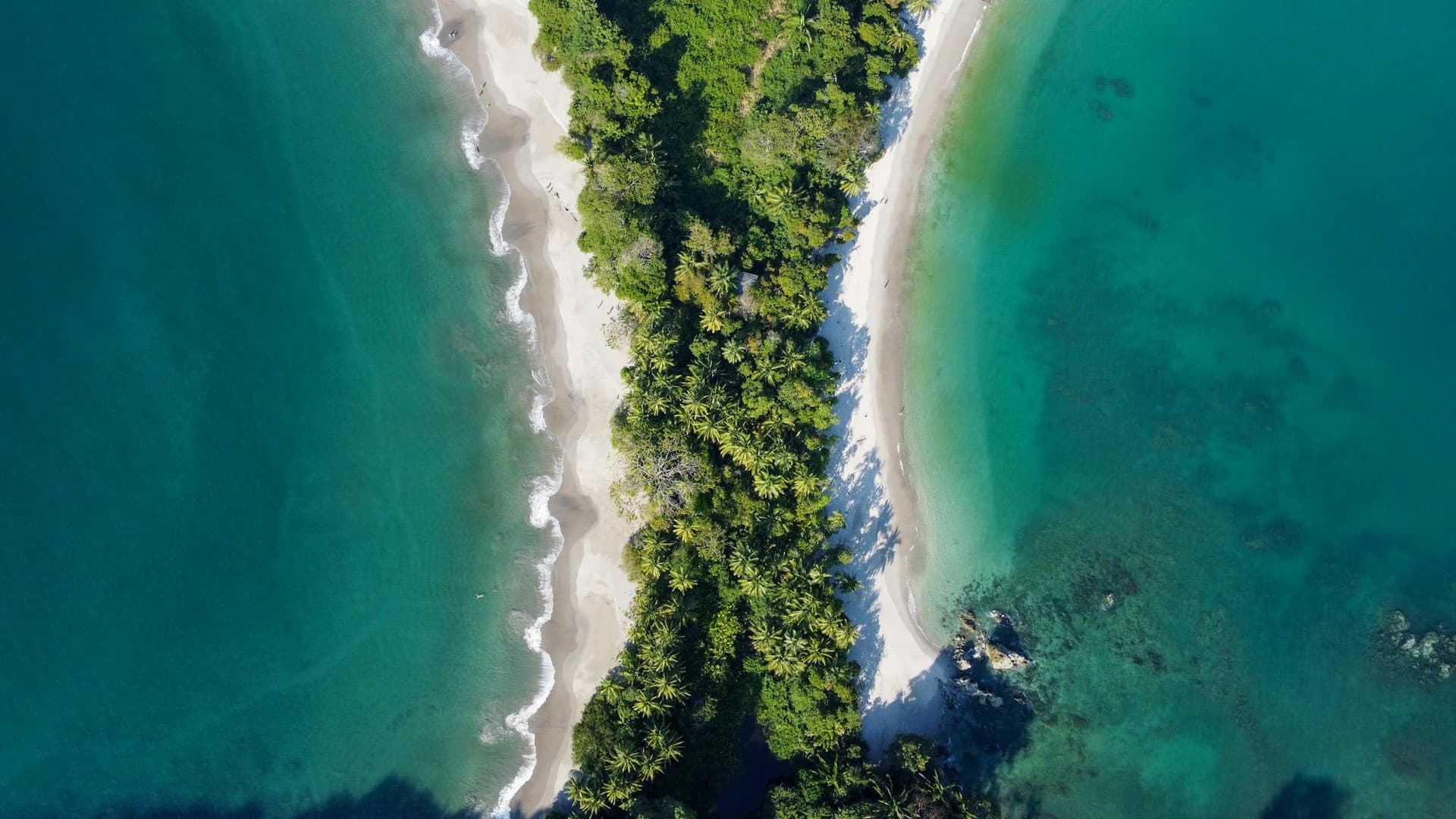 Aerial view of a palm-forested spit between two white-sand beaches and turquoise Pacific water at Manuel Antonio, Costa Rica