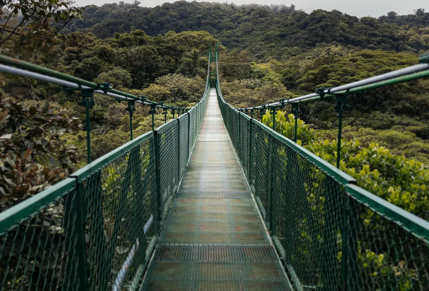 A green hanging bridge stretching across the treetops of the Monteverde cloud forest, Costa Rica