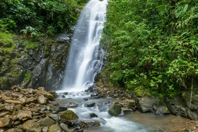 A jungle waterfall cascading into a forest pool in Costa Rica