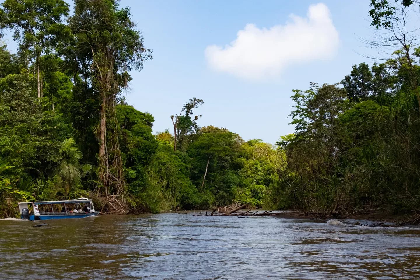 A small boat on a wide rainforest canal in Tortuguero National Park, Costa Rica