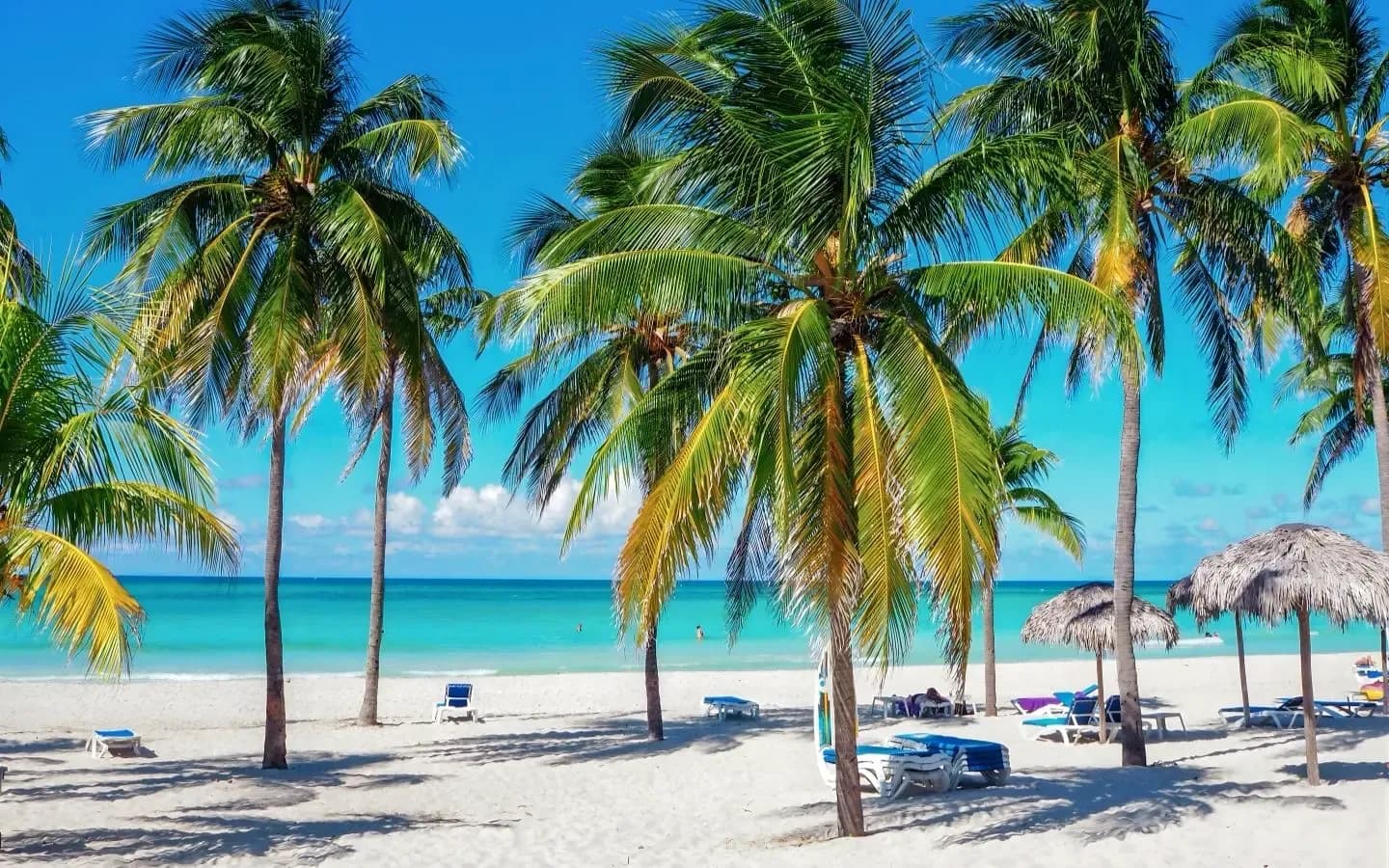 A tropical beach with white sand, turquoise water, and numerous palm trees casting shadows on the ground, with lounge chairs and thatched umbrellas scattered across the sand.