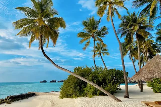 Couple walking on a pristine Dominican Republic beach at sunset