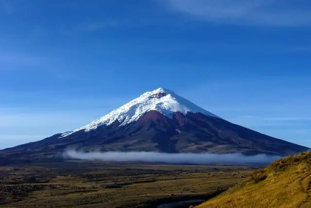 The snow-capped cone of Cotopaxi volcano above a band of cloud and the golden páramo, Ecuador