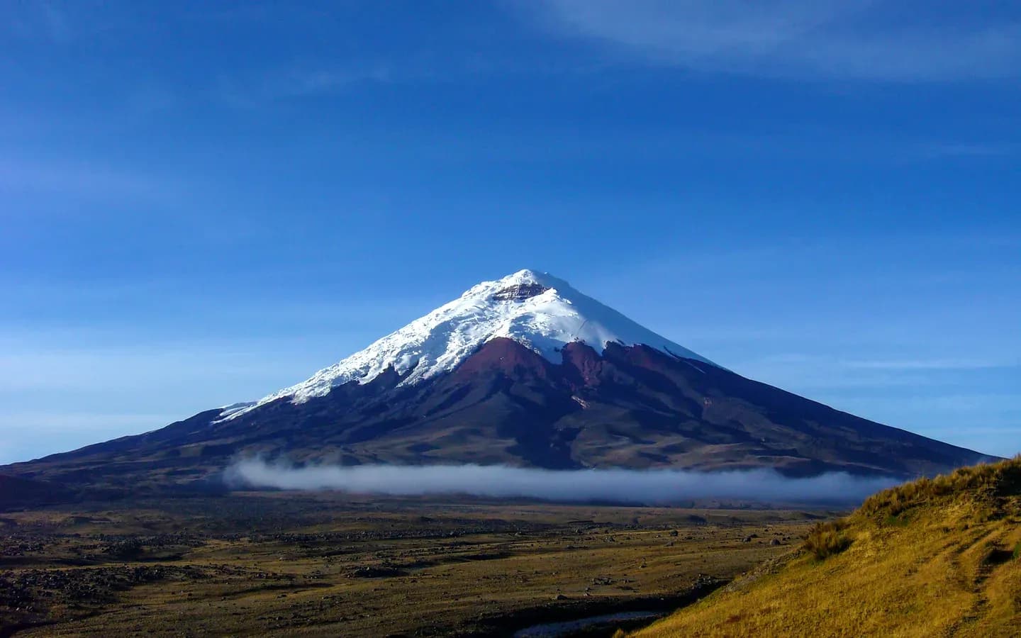 The snow-capped cone of Cotopaxi volcano above a band of cloud and the golden páramo, Ecuador