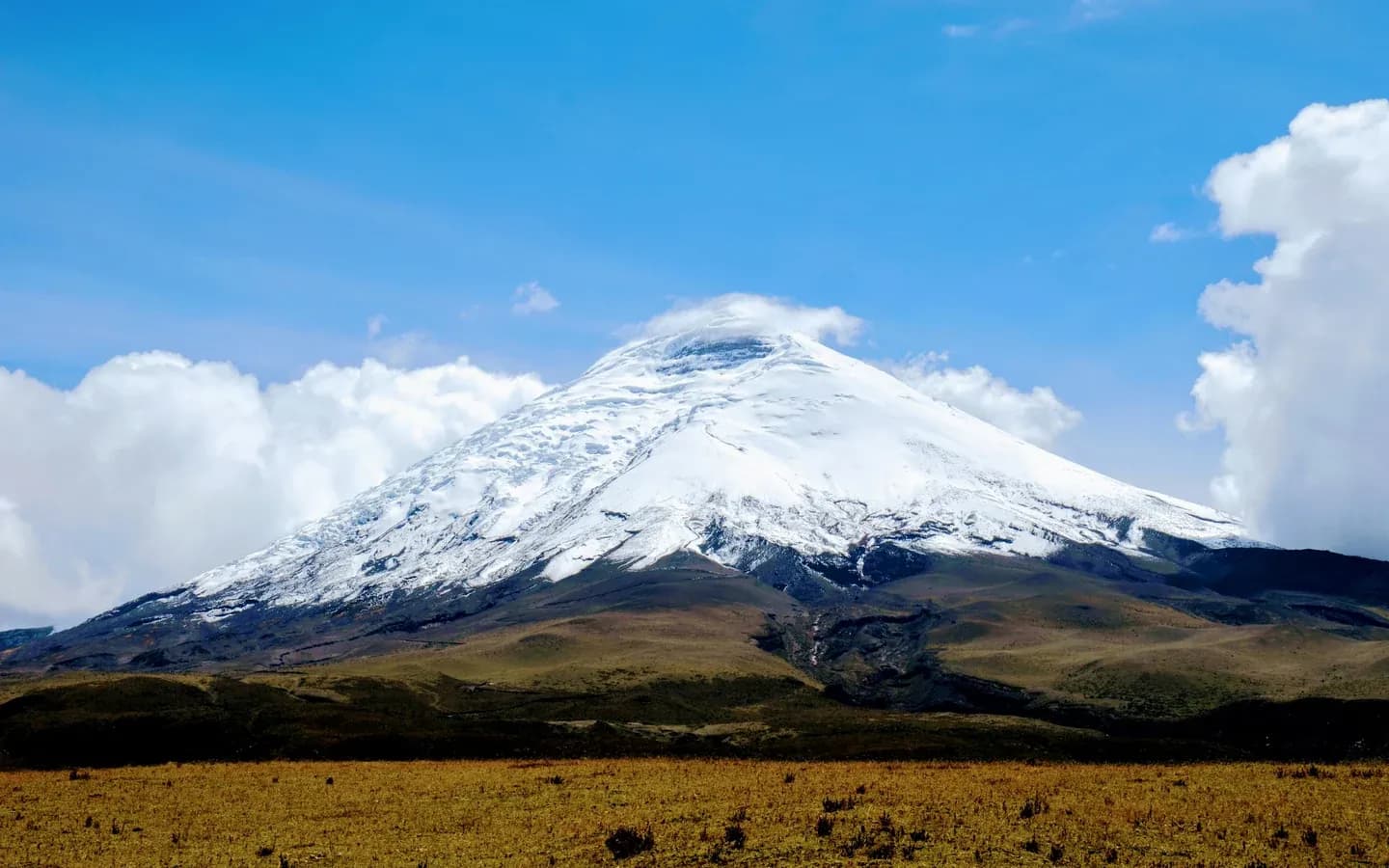 The snow-capped cone of Cotopaxi volcano rising above the golden high plain of the Ecuadorian Andes