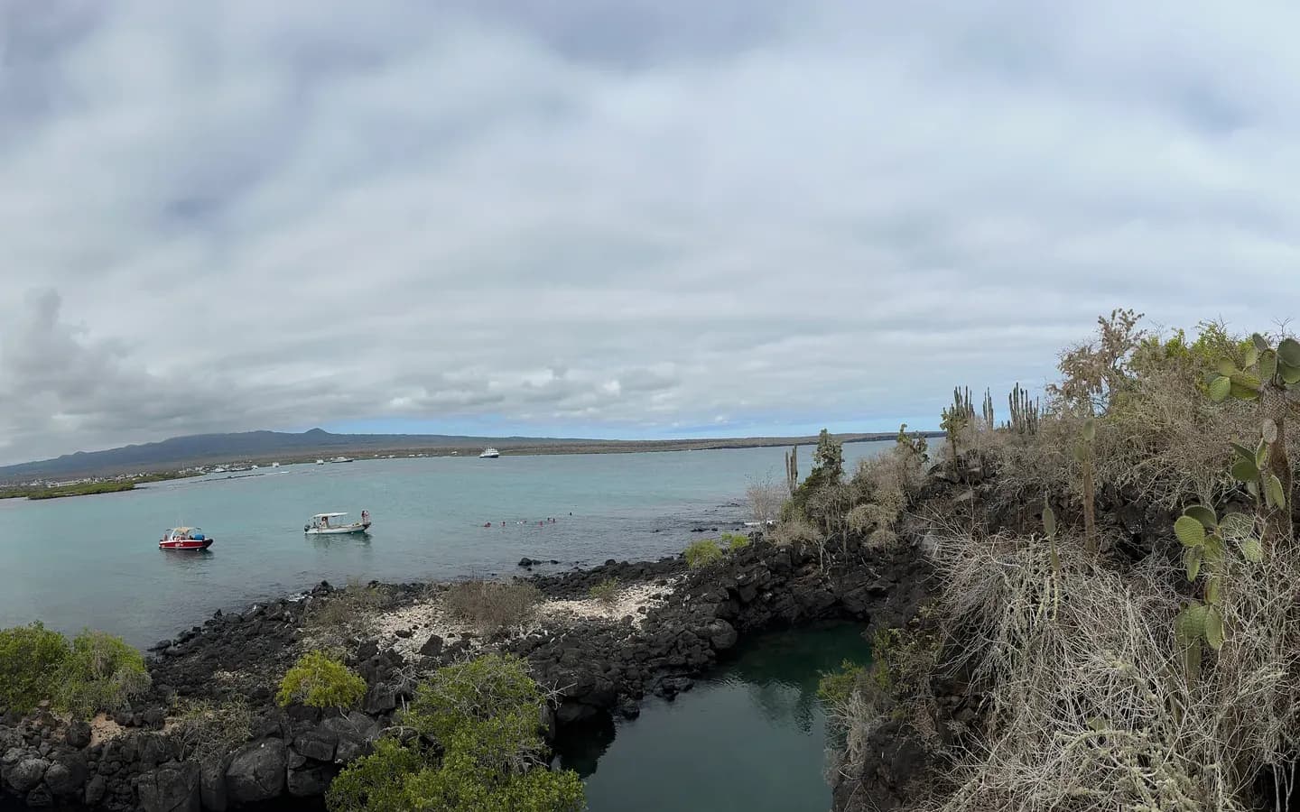 Boats at anchor in a sheltered bay behind a lava shore and cactus on Santa Cruz island, Galápagos