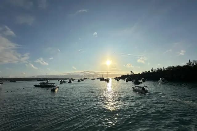 Boats at anchor in Puerto Ayora harbour at golden hour, Santa Cruz island, Galápagos