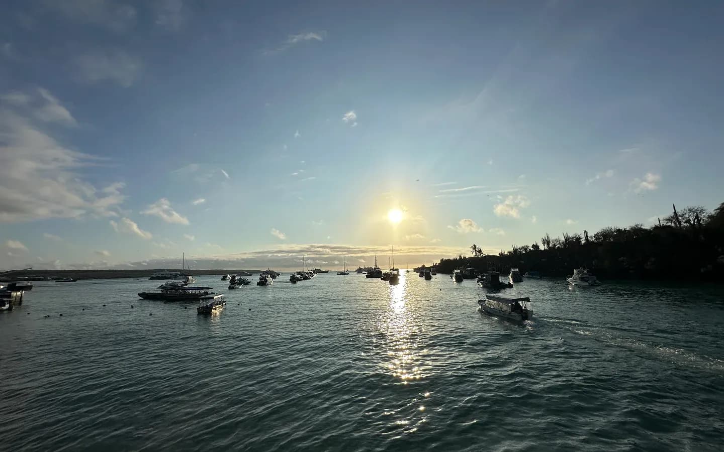 Boats at anchor in Puerto Ayora harbour at golden hour, Santa Cruz island, Galápagos