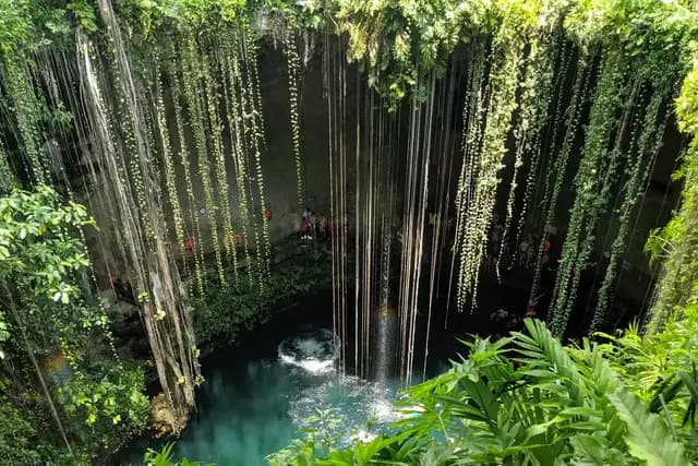 Vines hanging from the rim of Cenote Ik Kil down to the turquoise pool below, Yucatan, Mexico