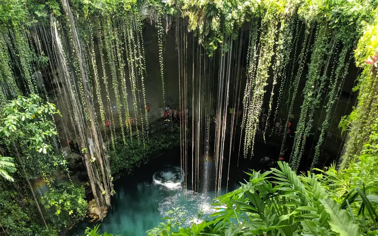 Vines hanging from the rim of Cenote Ik Kil down to the turquoise pool below, Yucatan, Mexico