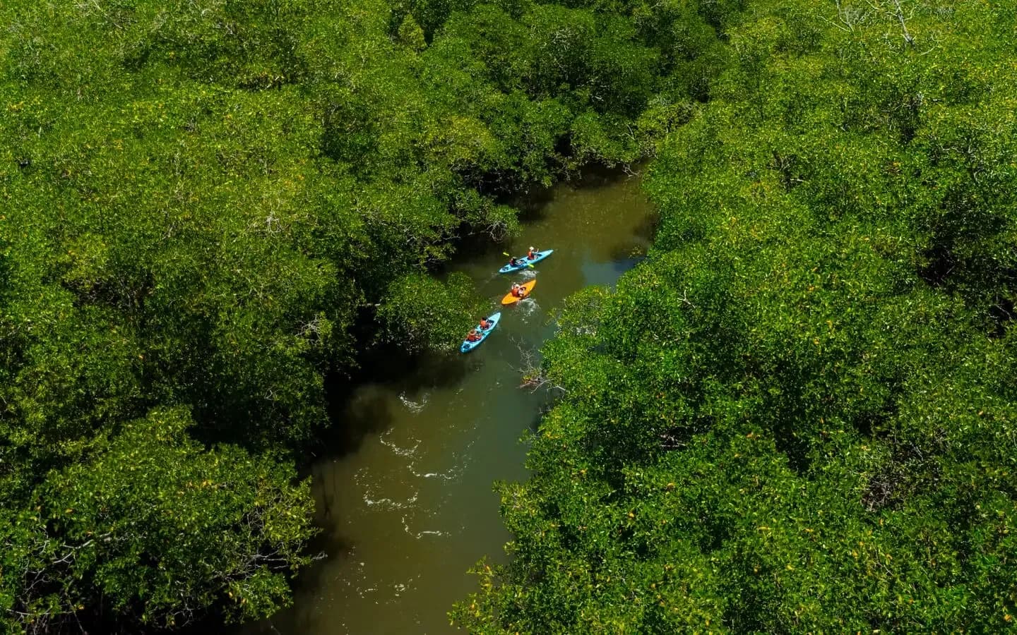 Aerial view of kayakers paddling a channel through mangrove forest at Boca Chica, Gulf of Chiriquí, Panama