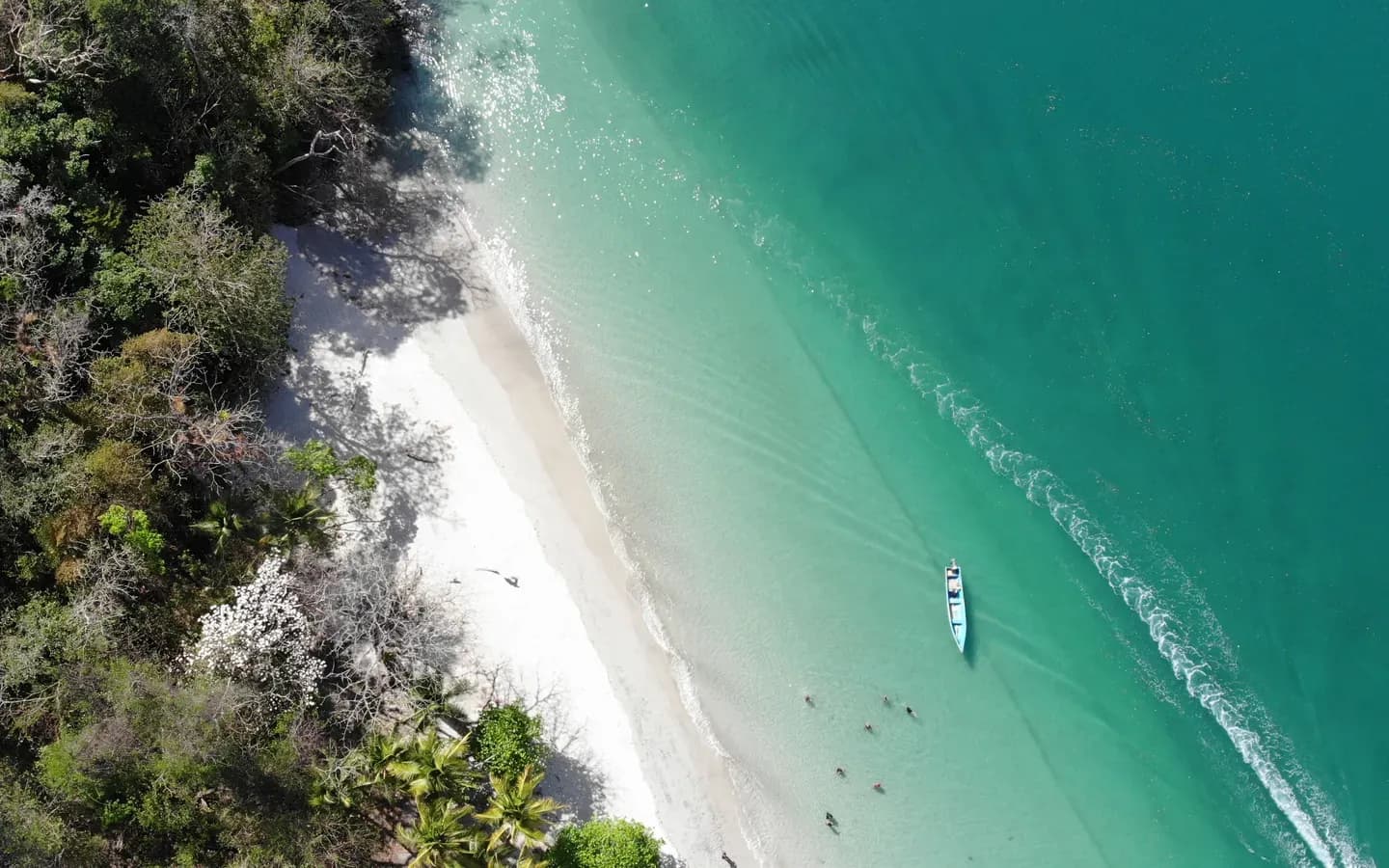 Swimmers and a panga boat off the beach at Boca Chica, Chiriquí, Panama, seen from above