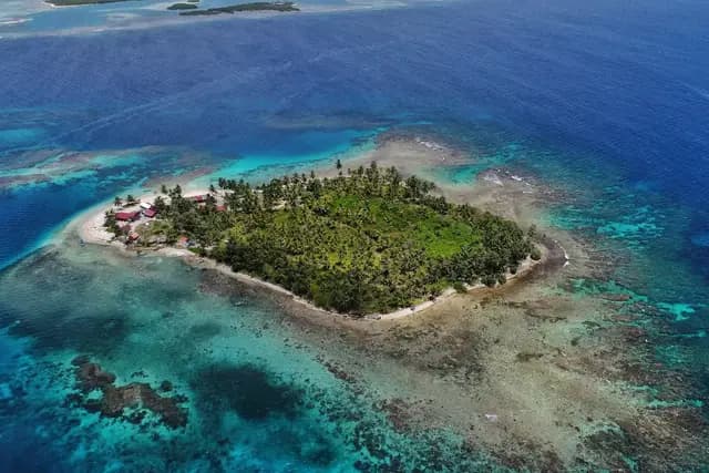 Aerial view of a palm-covered San Blas island surrounded by turquoise Caribbean waters, Panama